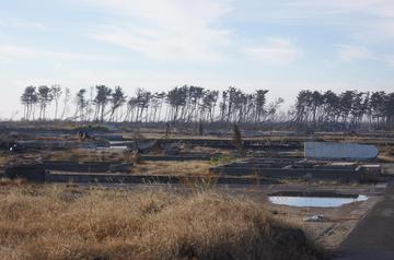 2011111TOHOKUCX 007.jpg