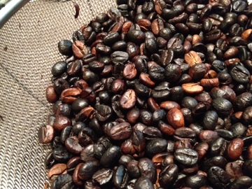 Coffee beans6.JPG